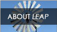 About Leap